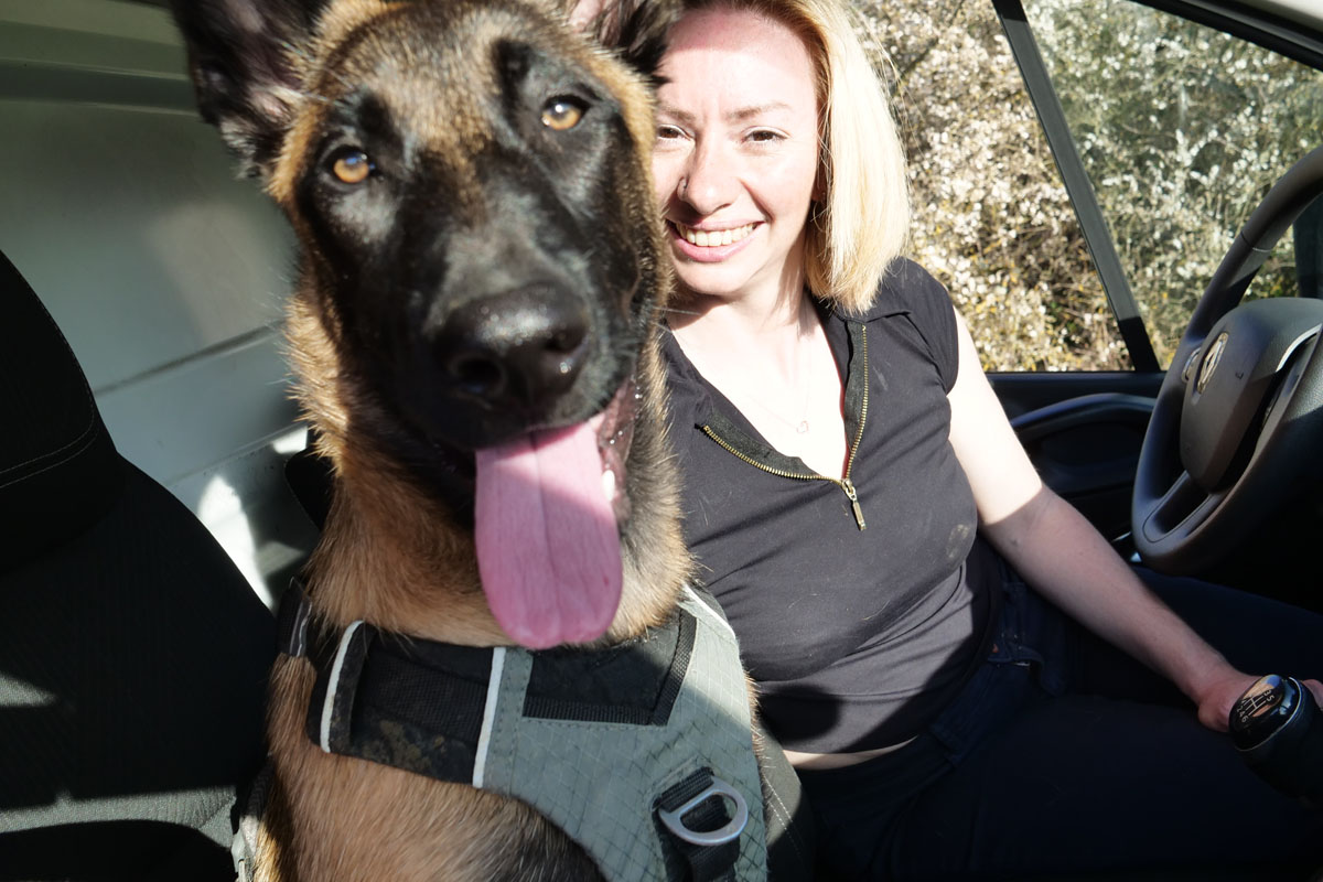 Van des toutous en route avec amandine et féline